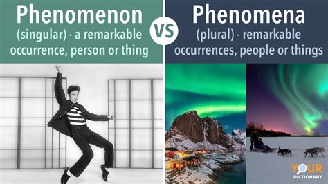 penomena meaning|phenomenon .